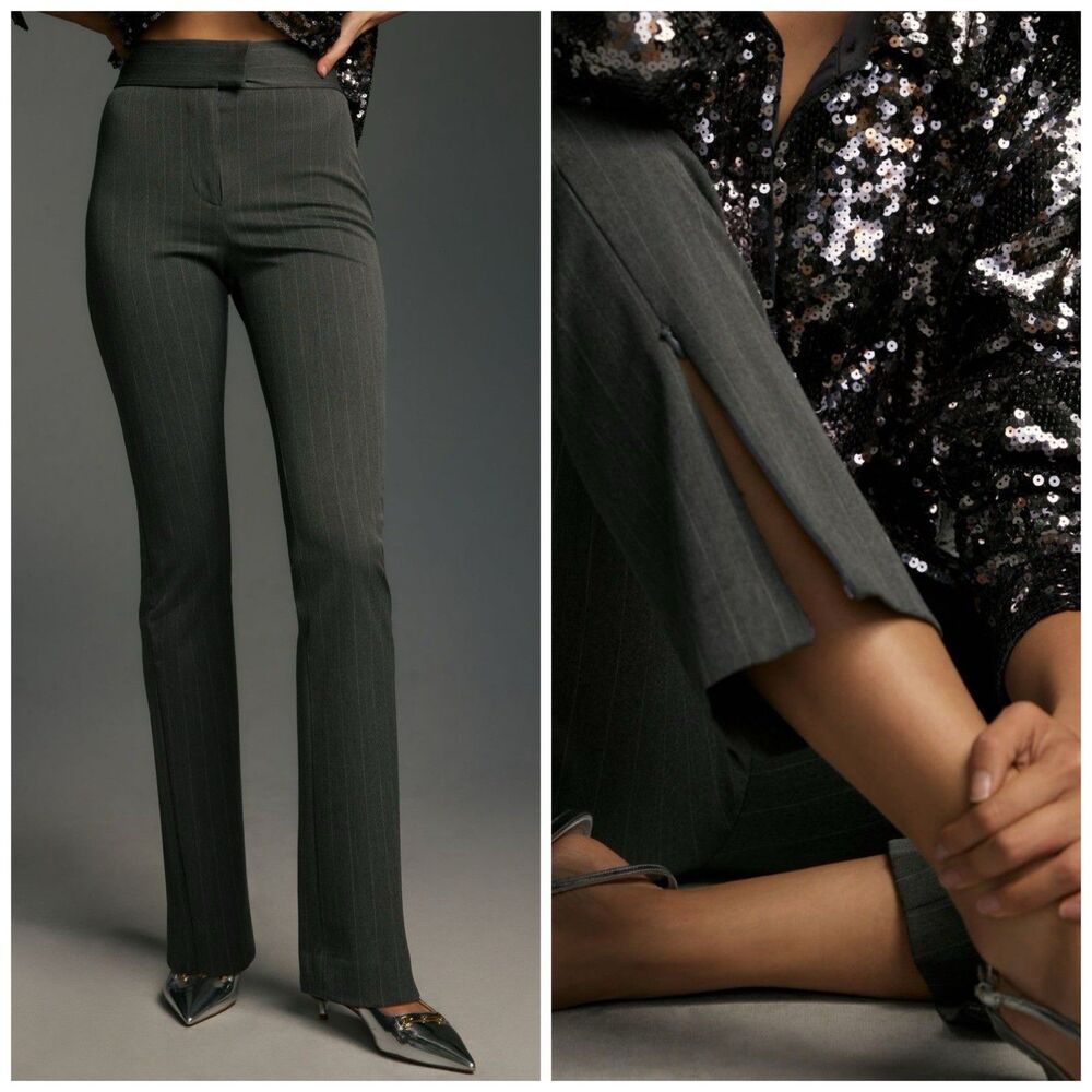 Anthropologie Bayse Pierre Trouser Pants Gray Pinstriped Womens 10 Career NEW